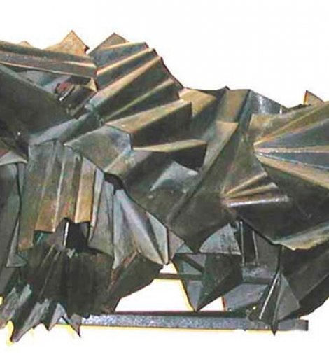Toro