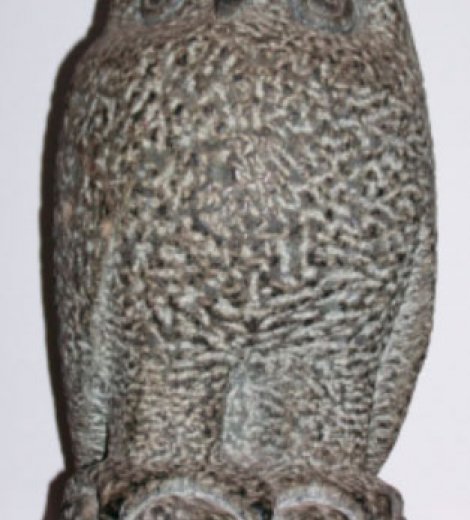 Búho