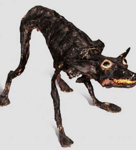 Perro