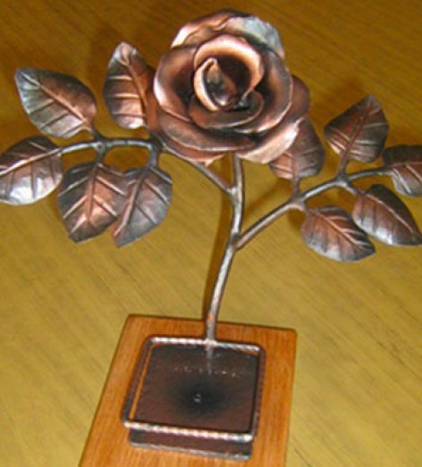 Rosa