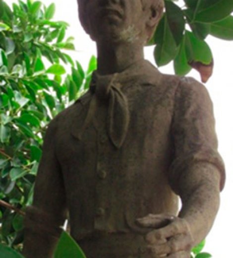 Islero del Río Paraná, detalle