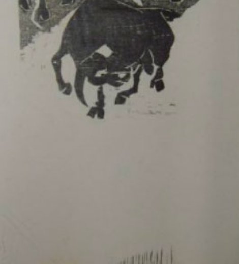 Toros
