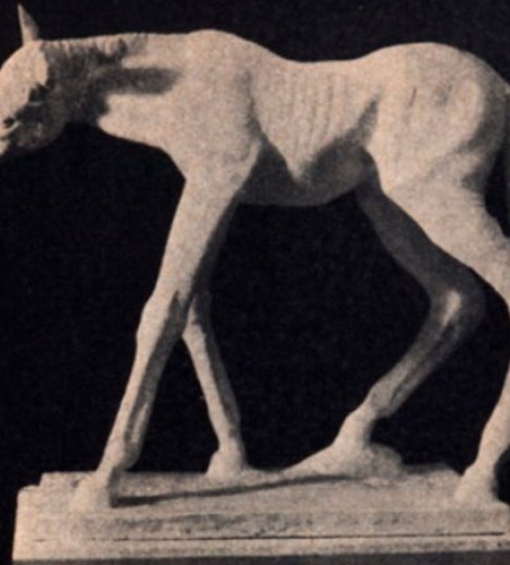 Baluarte en la tierra