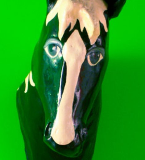 Cabeza de caballo