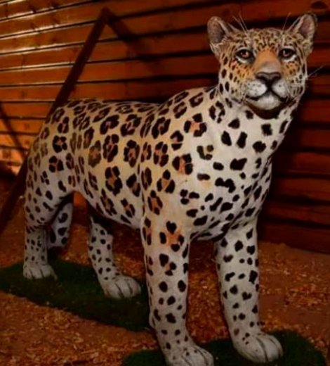Yaguareté